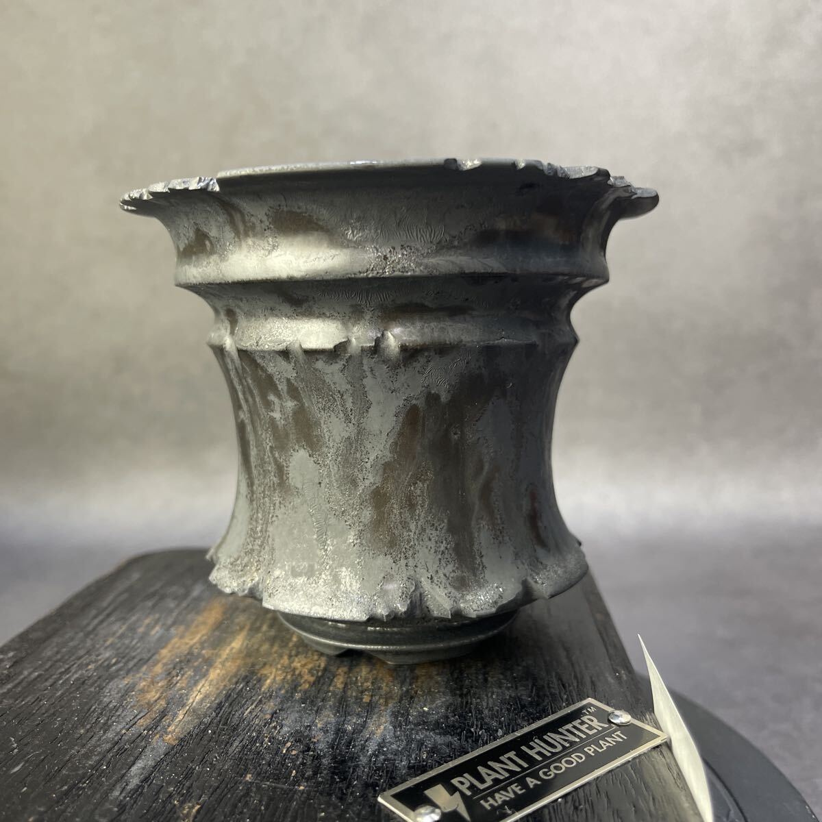 a235 сталь пепел . способ HAND Made цветочный горшок керамика осмотр ( агава pakips.. дракон . чёрный огонь .factory SRLkatachi завод gla сверло s. корень растения черепаха . дракон 