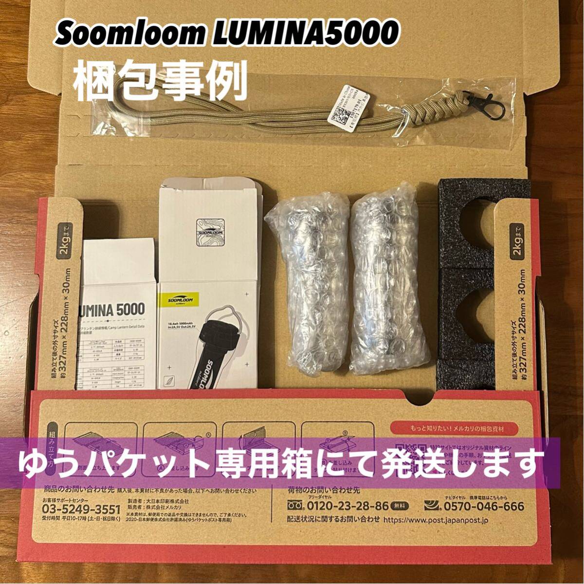 スームルーム　LUMINA5000 ルミナ5000 2個　ゴールゼロ　ハンギング_画像6