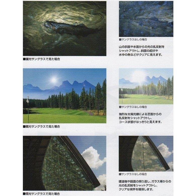  поляризованный свет солнцезащитные очки Coleman Coleman поляризирующая линза спортивные солнцезащитные очки мужской женский UV cut бесплатная доставка 50T* CO3033:_3