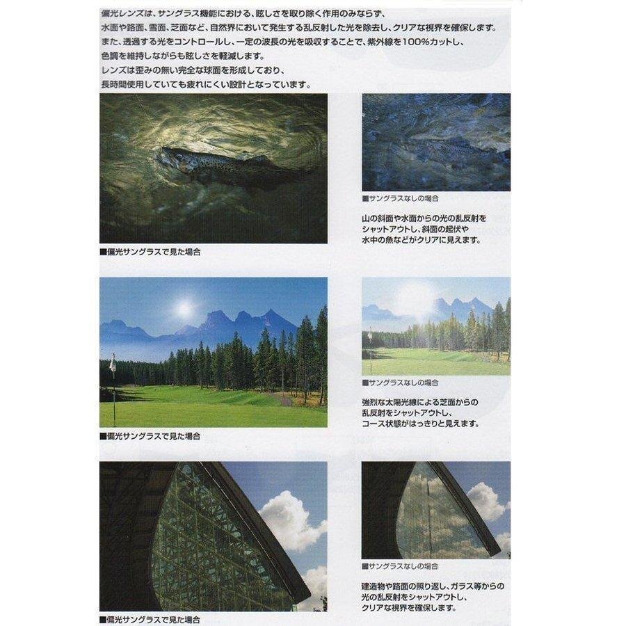  солнцезащитные очки поляризованный свет Coleman Coleman пристегивающийся откидной с футляром простой оборудован уличный для мужчин и женщин бесплатная доставка 100K* CL06:_1 черный 