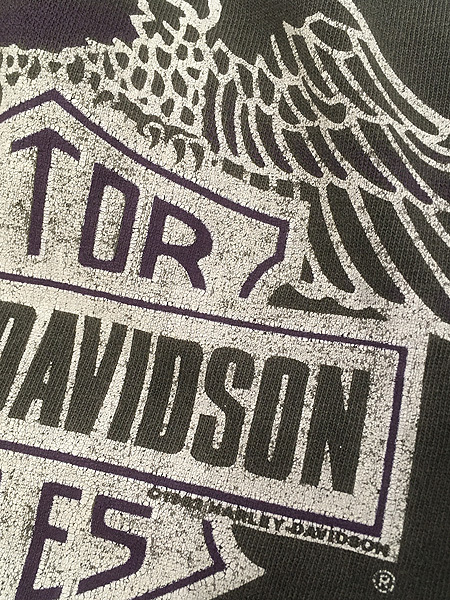 古着 90s USA製 HARLEY DAVIDSON バー&シールド イーグル ブルー ファイヤー 長袖 Tシャツ ロンT XL_画像9