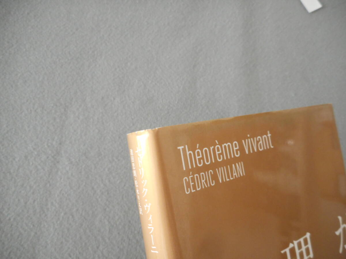 ヴィラーニ:「定理が生まれる」:天才数学者の思索と生活:早川書房_画像5