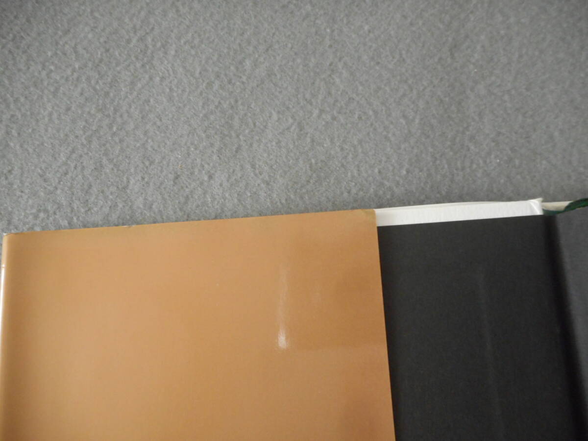 ヴィラーニ:「定理が生まれる」:天才数学者の思索と生活:早川書房_画像6