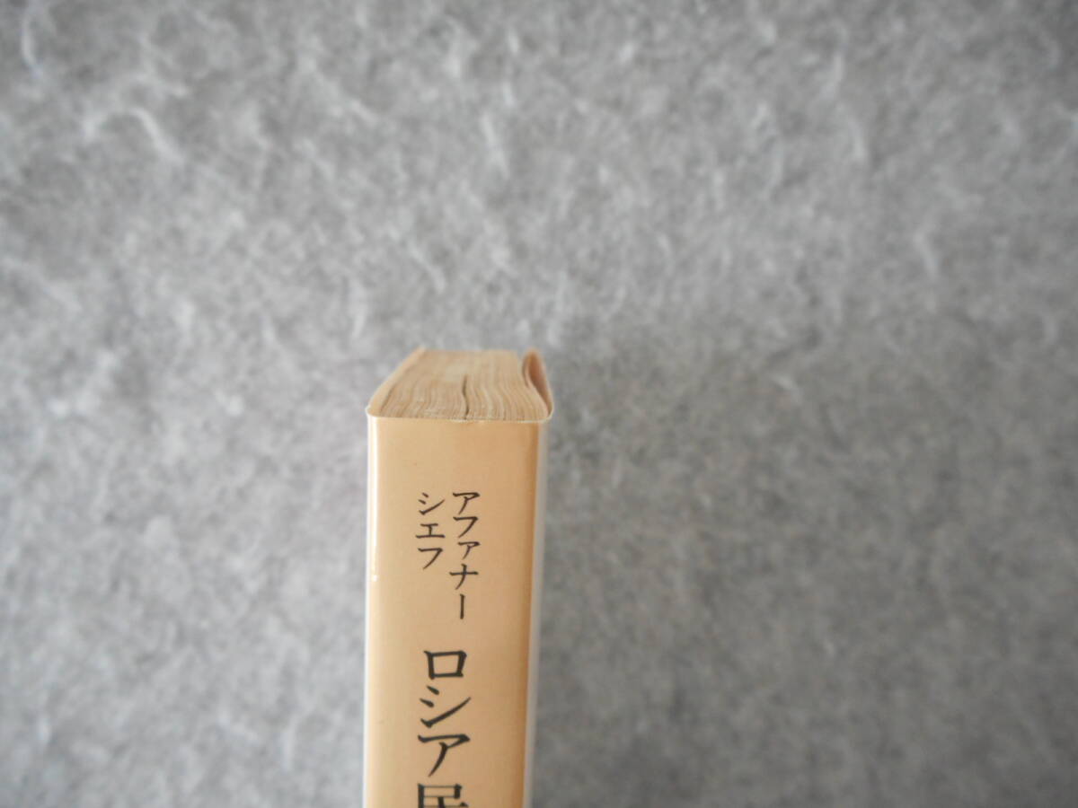 アファナーシェフ:「ロシア民話集(下)」:中村喜和編訳:岩波文庫_画像6