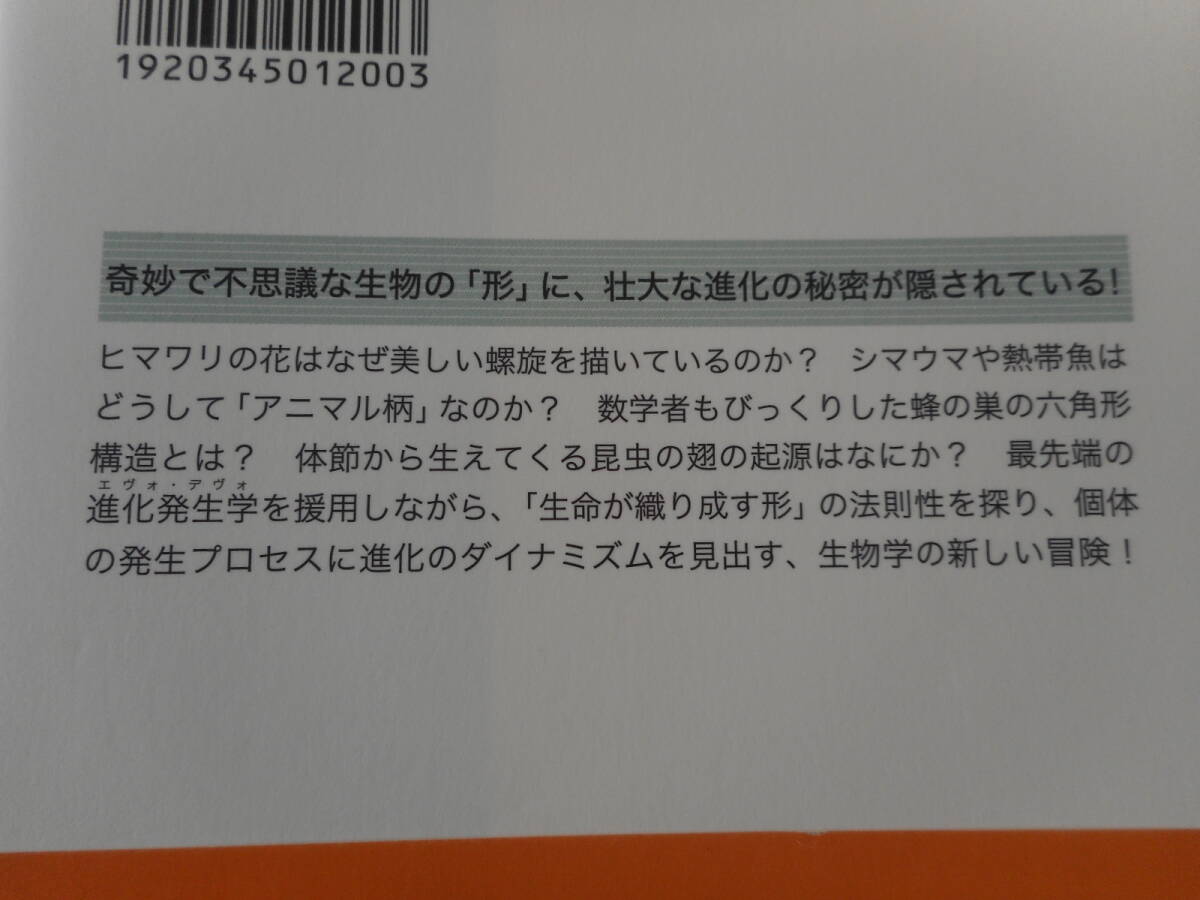 長沼毅:「形態の生命誌」:なぜ生物にカタチがあるのか:新潮選書_画像3