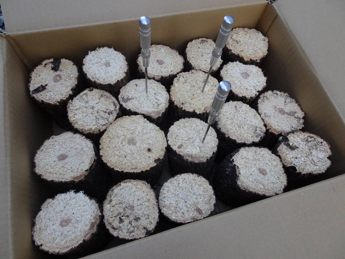 ## рогач производство яйцо для [..GS материал ]..S*~B разряд лот ##G-STYLE