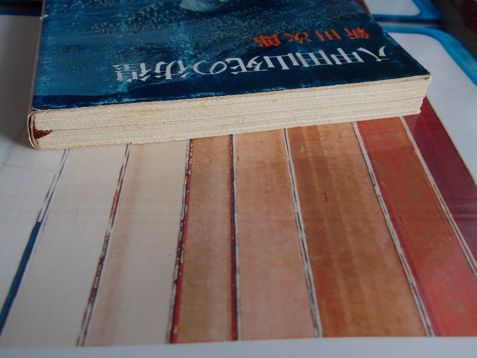 文庫本／新田次郎／八甲田山死の彷徨／にったじろう／はっこうださんしのほうこう／管1509_画像5