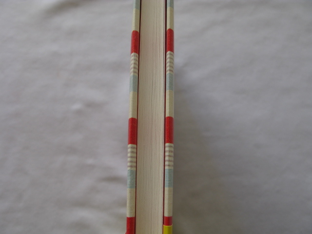 初版帯付き芥川賞受賞作『乙女の密告』赤染晶子　平成２２年　初版カバー帯　新潮社_画像5