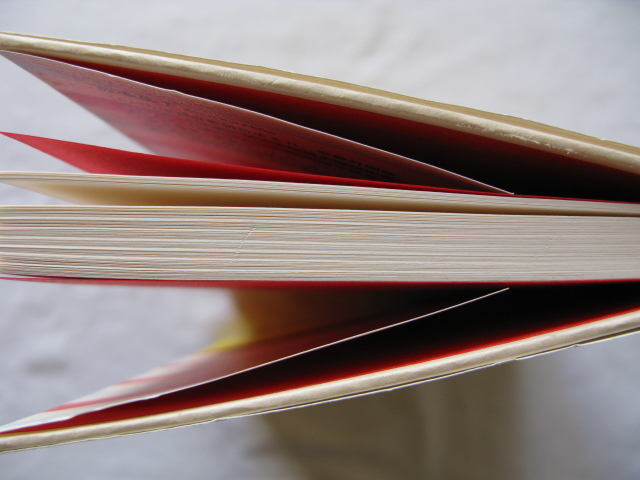 初版帯付き芥川賞受賞作『乙女の密告』赤染晶子　平成２２年　初版カバー帯　新潮社_画像6