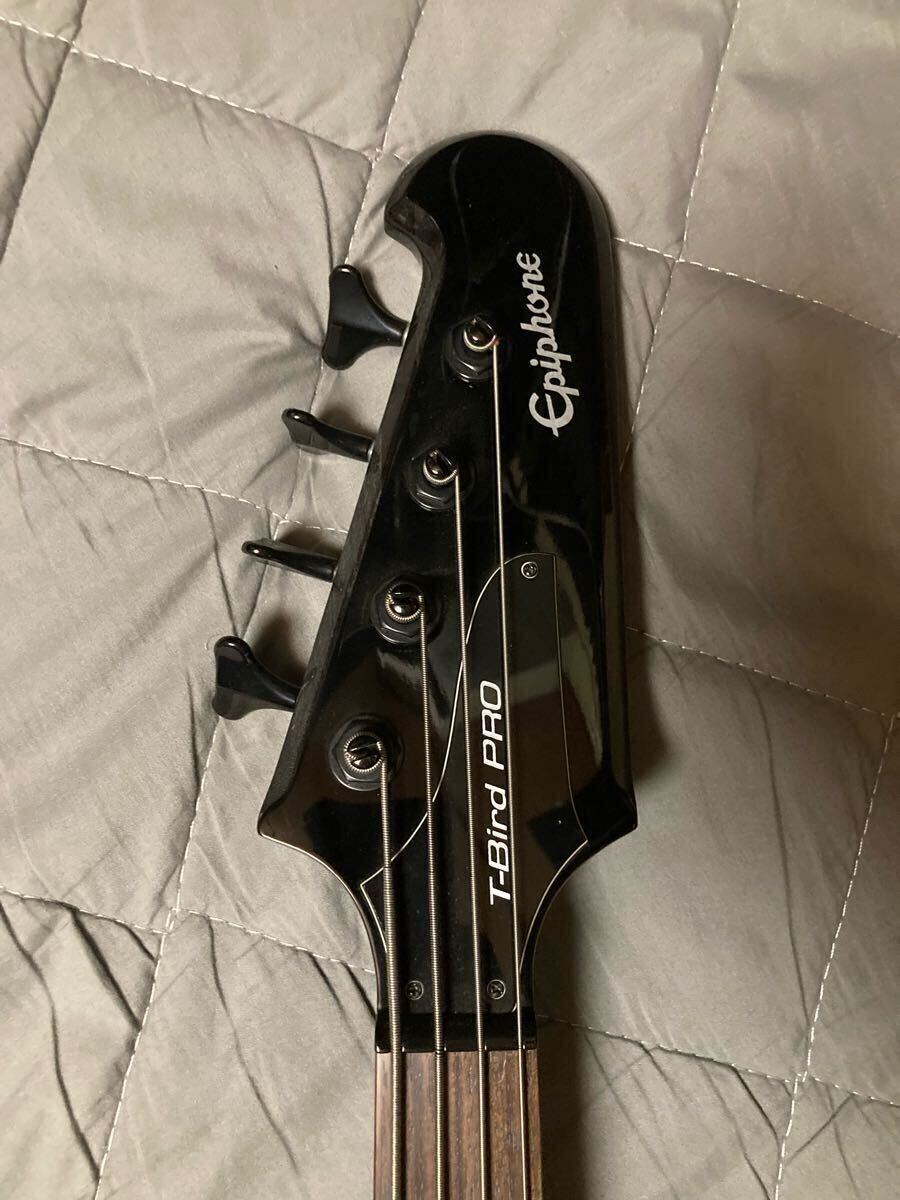 【 送料無料 】Epiphone T-Bird PRO エピフォン Tバードプロ サンダーバード ベース プロビデンスバッグ スルーネック Gibson アクティブ_画像3