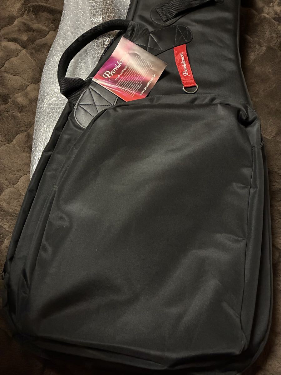 【 送料無料 】Epiphone T-Bird PRO エピフォン Tバードプロ サンダーバード ベース プロビデンスバッグ スルーネック Gibson アクティブ_画像10