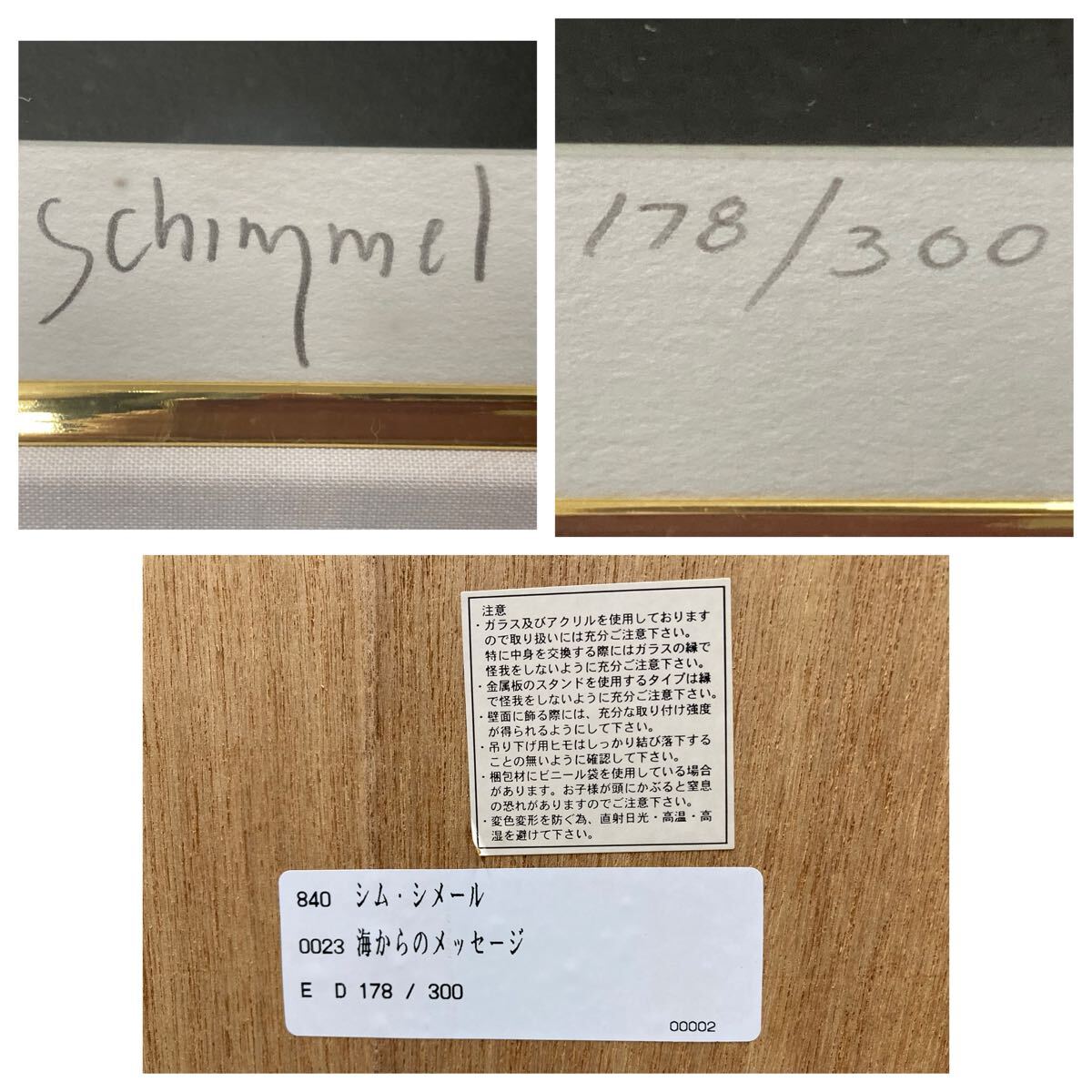 シム・シメール「海からのメッセージ」178／300 鉛筆サイン ジクレー 15号大 イルカ 海 地球 絵画 額装 保管袋/保管箱付き _画像5