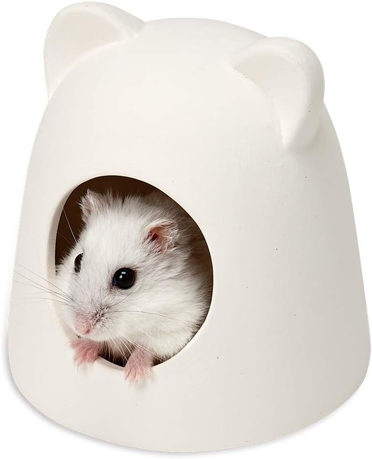 新品 送料無料 3個セット ハムスター はむすたー 隠れ家 マルカン ミニマルランド ひんやりセラミックハウス 暑さ対策 ハウス_画像5