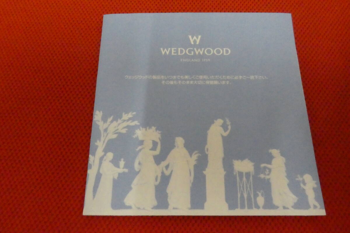 A【11969】★WEDGWOOD プロミシスウィズディス★ペア シャンパングラス ウェッジウッド 箱有 経年保管品_画像6