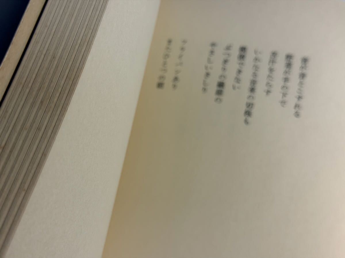 大岡信　詩集 悲歌と祝祷 　青土社　帯切れ　1976年_画像4