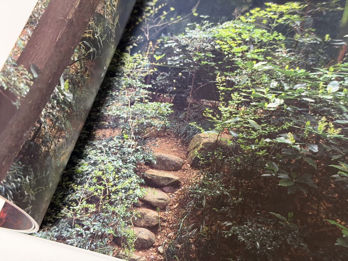 若林奮　緑の森の一角獣座　記録集　1995-2015 　DVD付き　97ページ　横尾忠則　和田誠　_画像4