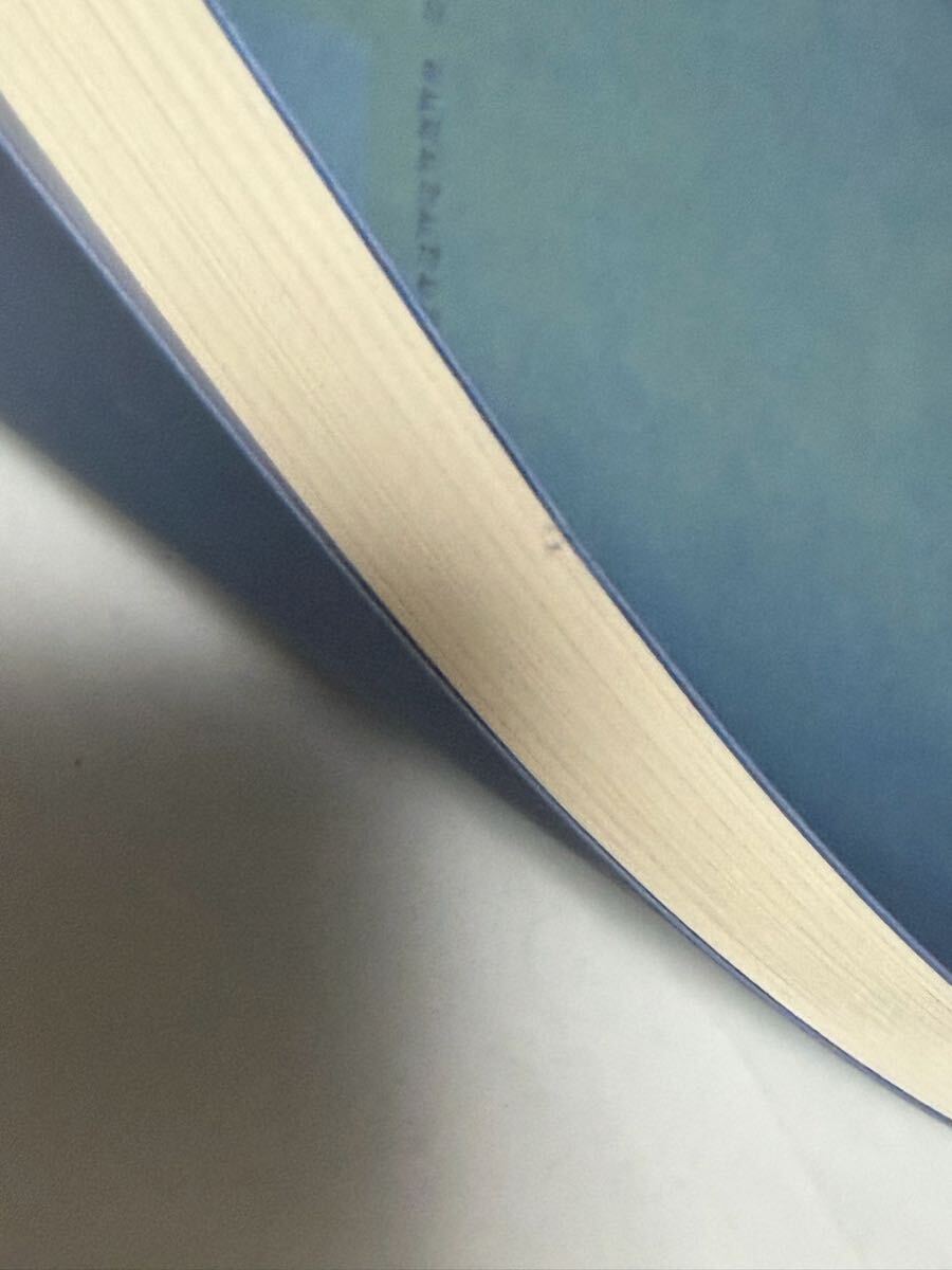 若林奮　デッサンと彫刻のあいだ　版画展　2005年 世田谷美術館　酒井忠康_画像3