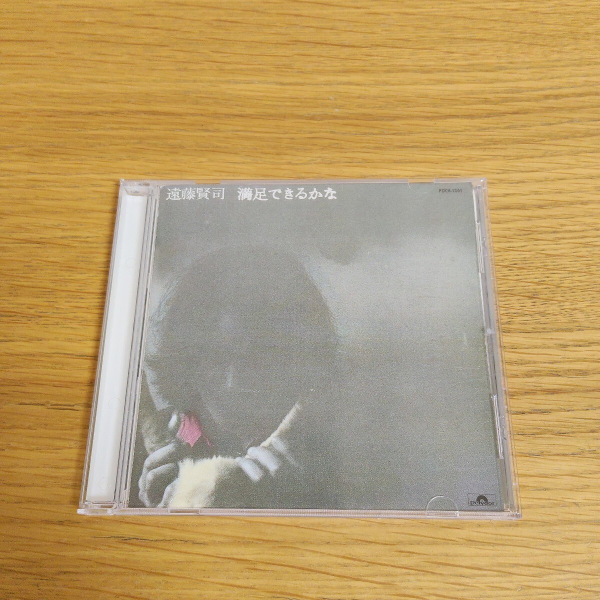 遠藤賢司 満足できるかな_画像1