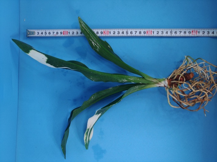 3 документ птица круг десять тысяч год синий o Moto ...