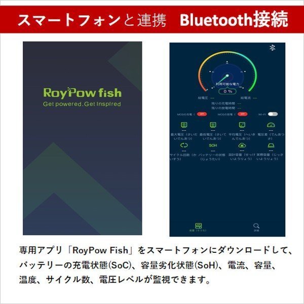 AQUA DREAM aqua Dream LIFEPO4-100 Lynn кислота металлический lithium ион аккумулятор 12V100Ah LifePO4 S12100 5 год гарантия 