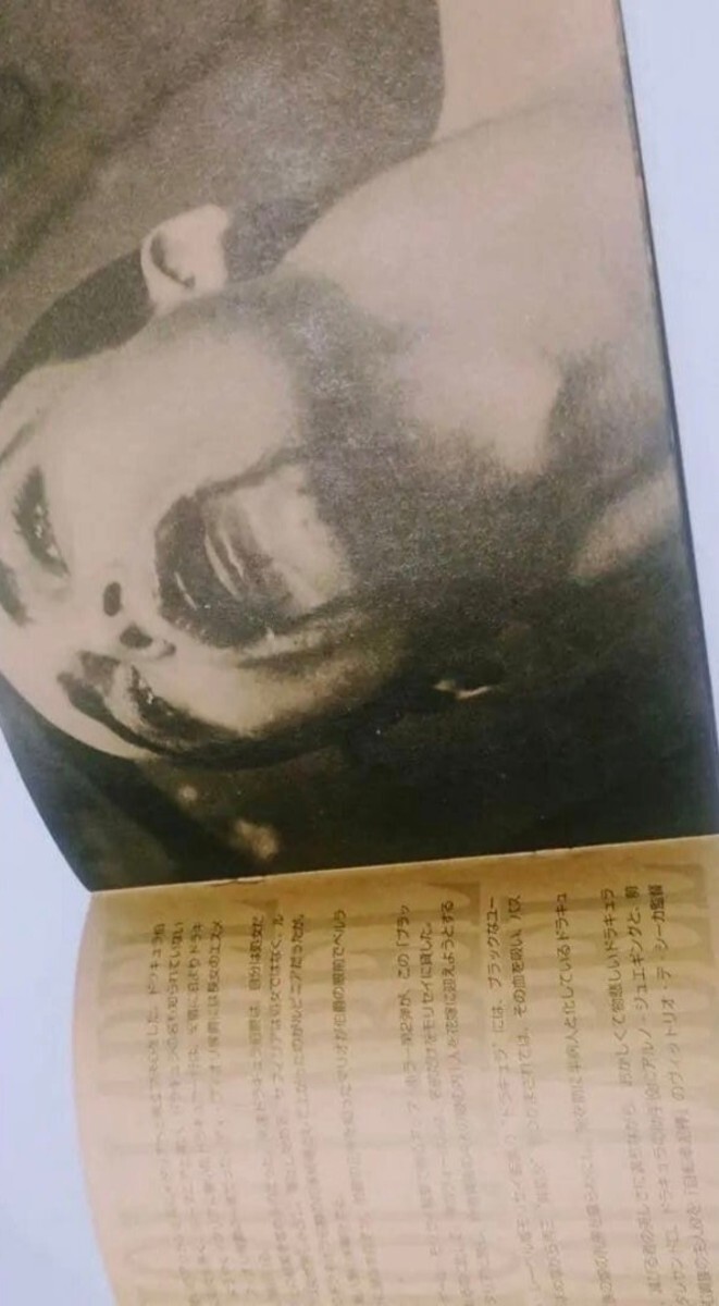 希少★アンディーウォーホル【ANDY Warhol LABEL】パンフレット、チラシ3点セット 検) 悪魔のはらわた 処女の生血 ヒート 悪魔のいけにえ _画像5