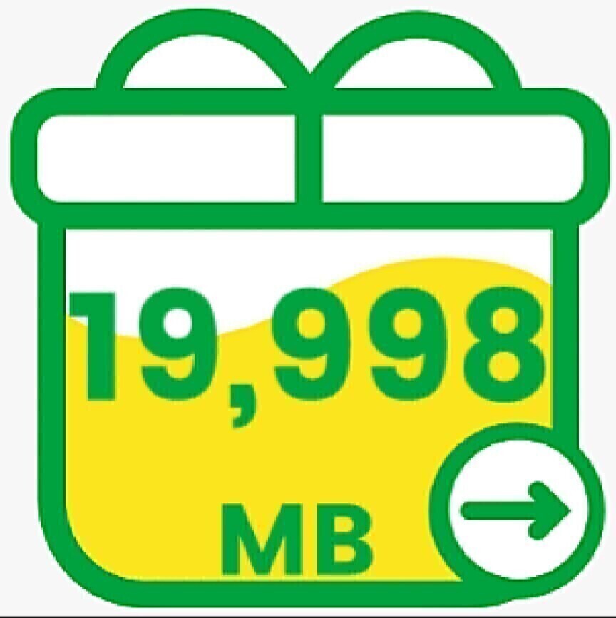 mineo マイネオ パケットギフト 約20GB 19998MB 匿名取引 _画像1