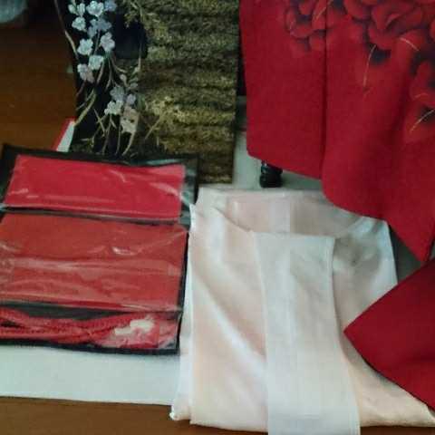 大幅お値引き中　価格振り袖セット_画像2