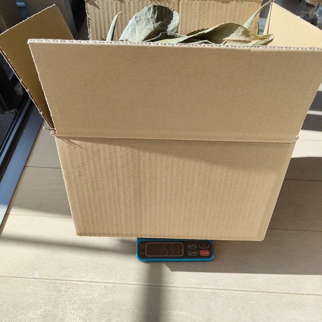 乾燥枇杷の葉 150g 枇杷の葉エキス作成用に 無農薬 自然乾燥 25年秋収穫_画像5