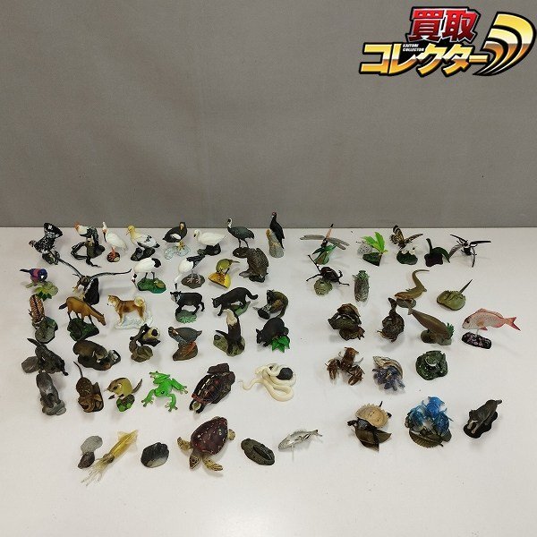 mK934b [ суммировать ] еженедельный японский натуральный память предмет животное сборник фигурка все 50 вид + Japan рак синий серебряный .ryu поплавок .uyamagame. body | H