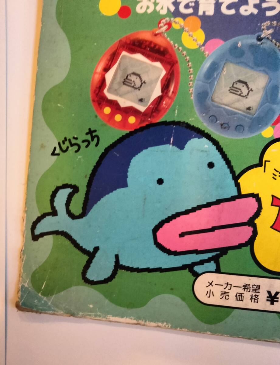 たまごっち 非売品 玩具店用吊り下げ式POP(1) 希少品 コレクター用に！　_画像3