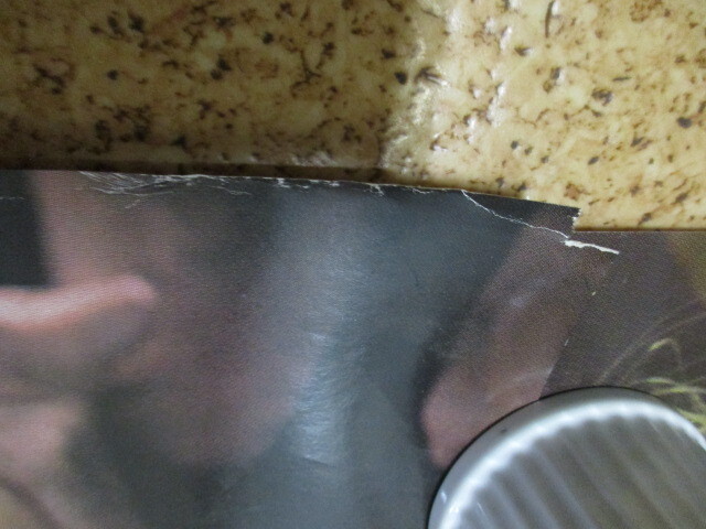 ◎33・資生堂ポスター　美しさは鮮やかな言葉です　約73ｘ51ｃｍ　レオタード_画像4