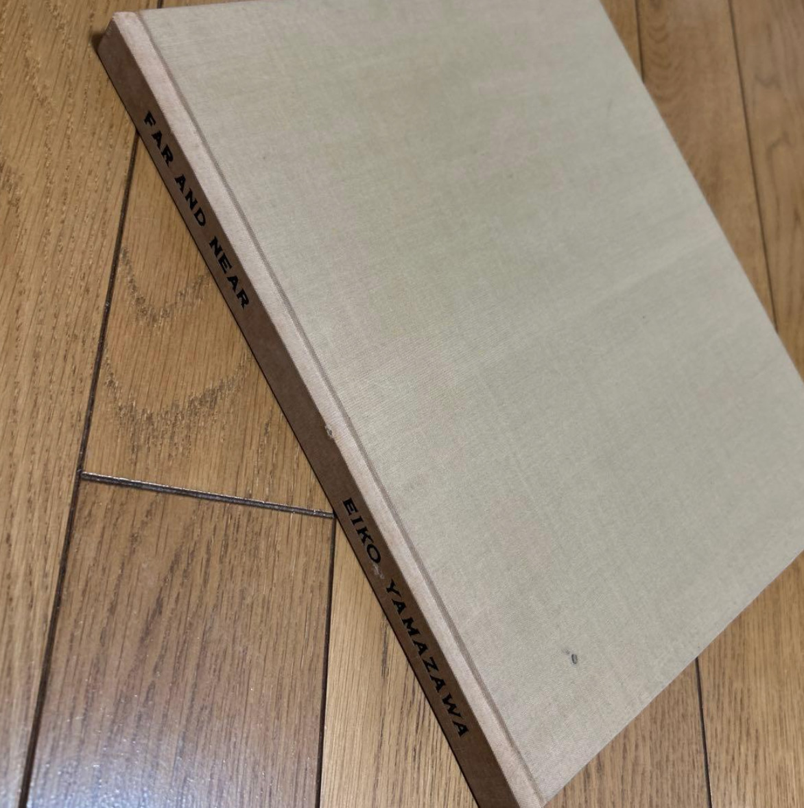 山沢　栄子　遠近　Far and Near_画像1