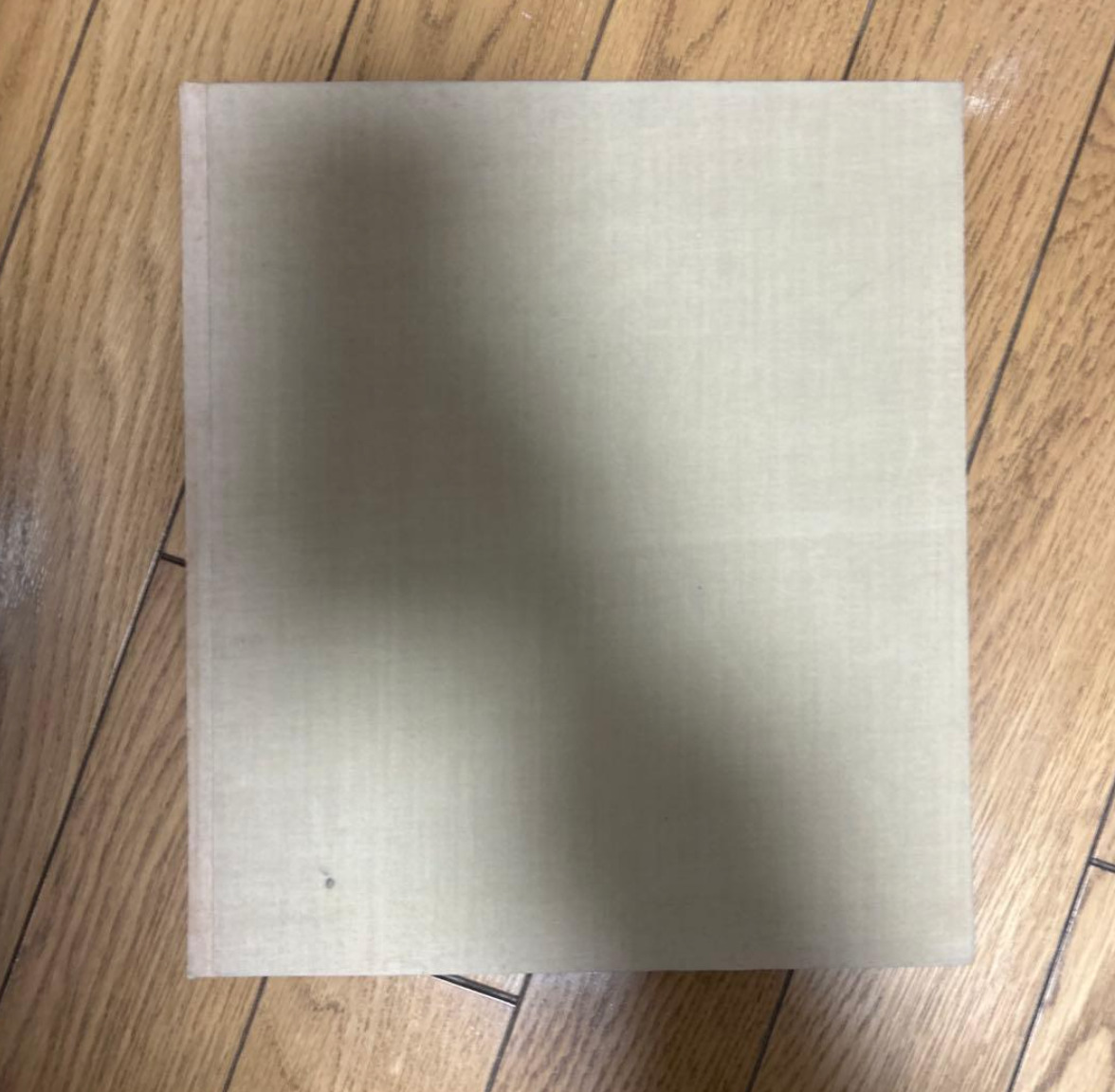 山沢　栄子　遠近　Far and Near_画像2