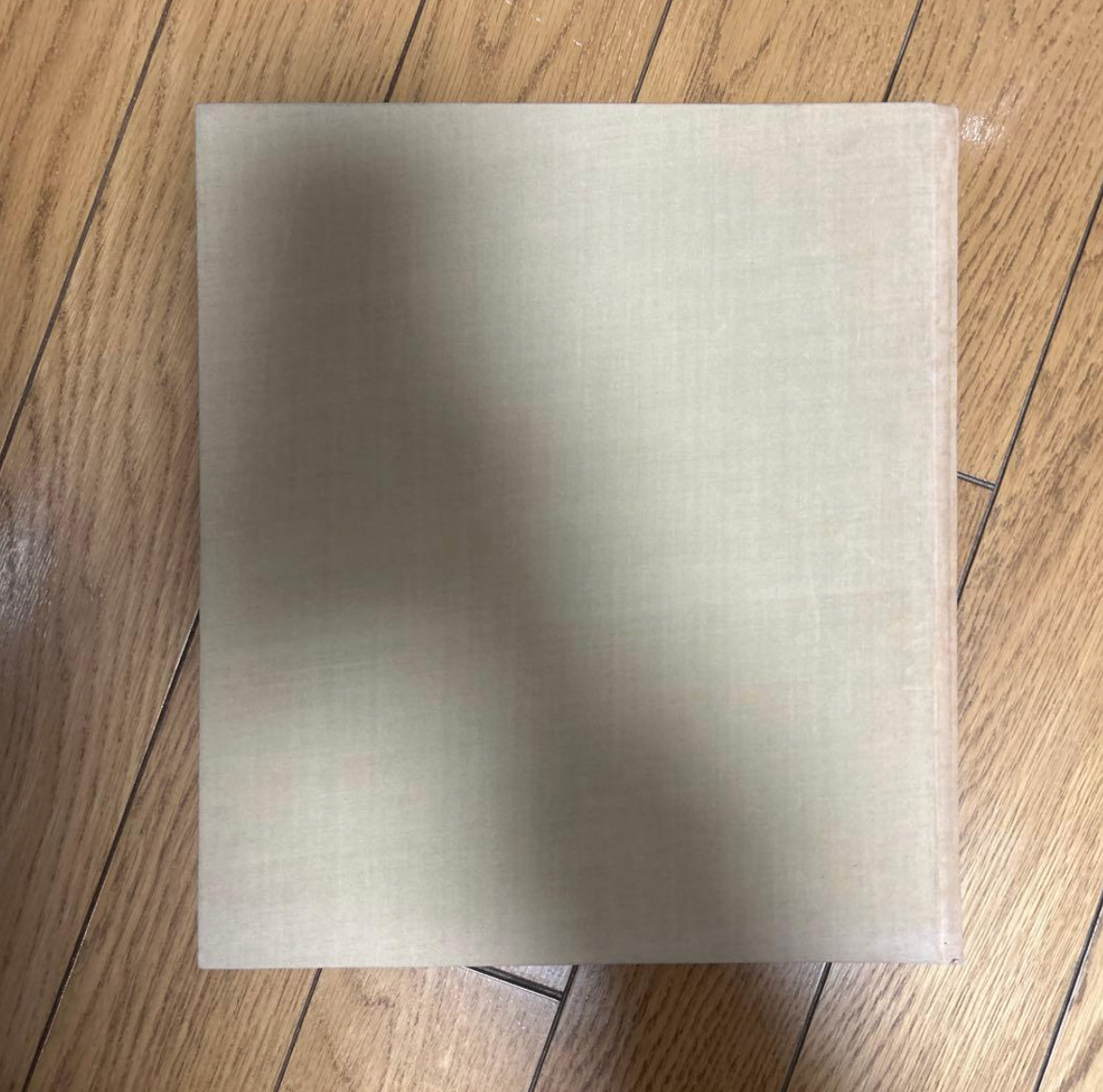 山沢　栄子　遠近　Far and Near_画像3