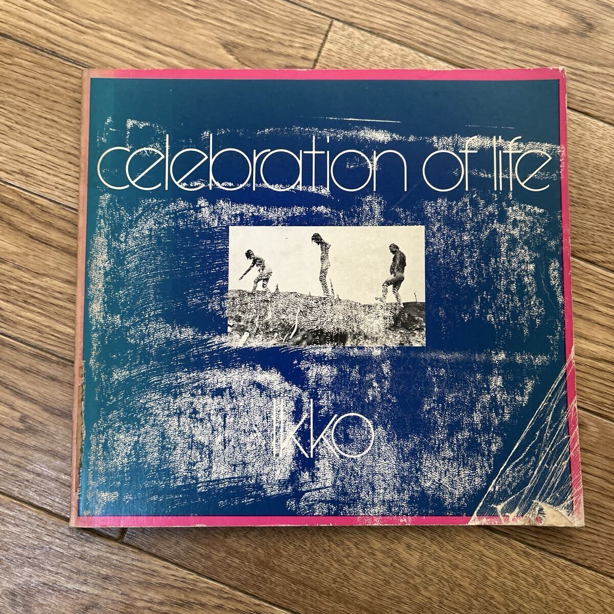 生きる歓び　奈良原一高_画像1