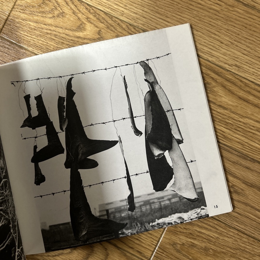 木石の詩　新山清_画像4