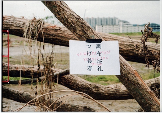 つげ義春　サイン入り色紙　調布巡礼　特典_画像2