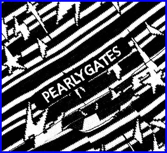 【国内正規品】60%OFF◆パーリーゲイツゴルフシャツPG◆厚地PeストレッチWJQカットソープルオーバーMIXパターン◆白黒M4定価:28,600円_画像5