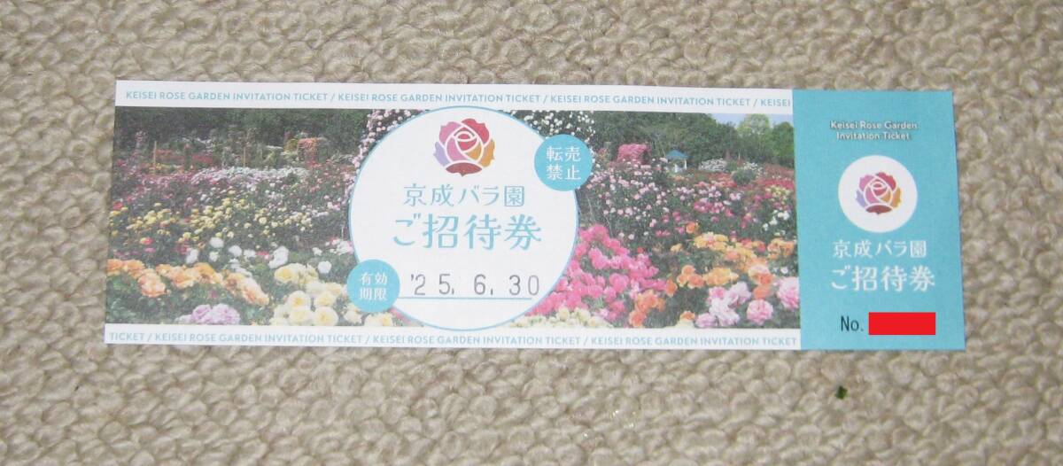 столица . роза . приглашение талон ( входной билет ) иметь временные ограничения действия 2026/06/30 столица . роза . приглашение талон ( входной билет ) иметь временные ограничения действия 2026/06/30