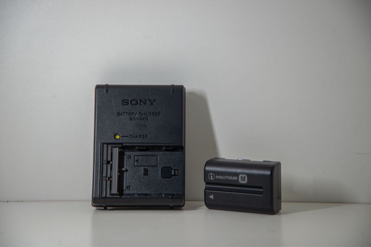 SONYα77ボディ ズームレンズ2本セット_画像10