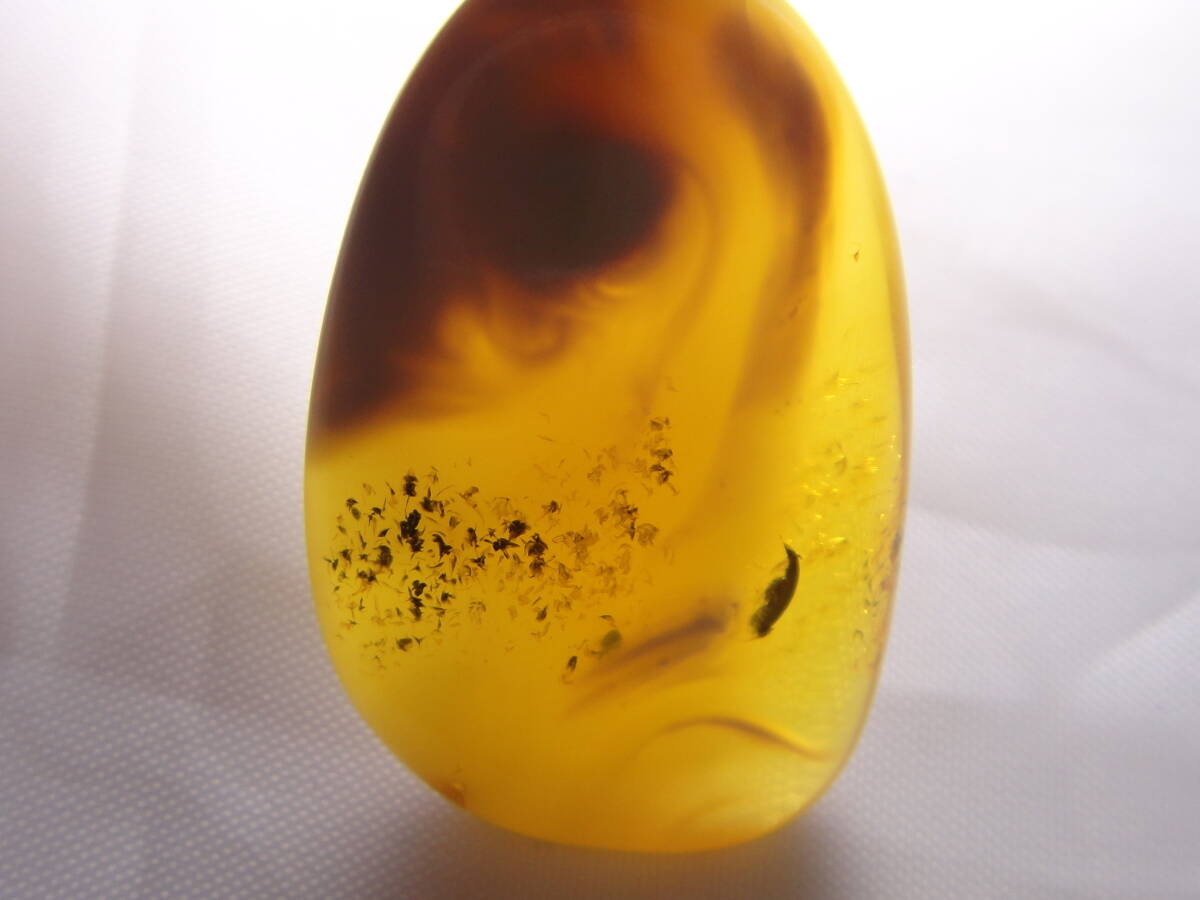 本琥珀　本コハク　ロイヤルアンバー　ネックレストップ　チャーム　良い色合い　レトロ　ヴィンテージ　D728_画像4