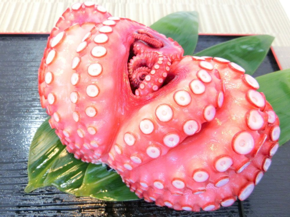 【Max】茹で蛸 柔らかい食感！ ボイル 柳ダコ 丸ごと １杯 美味！ 柳だこ 柳蛸 冷凍 蛸 刺身 寿司_画像1