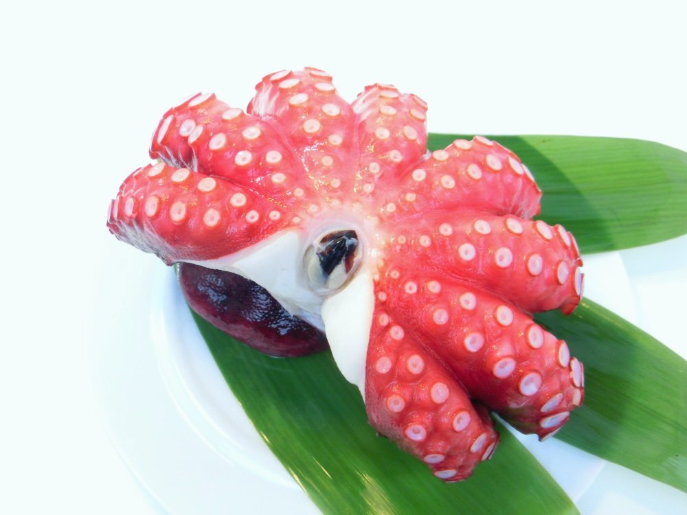 【Max】茹で蛸 柔らかい食感！ ボイル 柳ダコ 丸ごと １杯 美味！ 柳だこ 柳蛸 冷凍 蛸 刺身 寿司_画像4