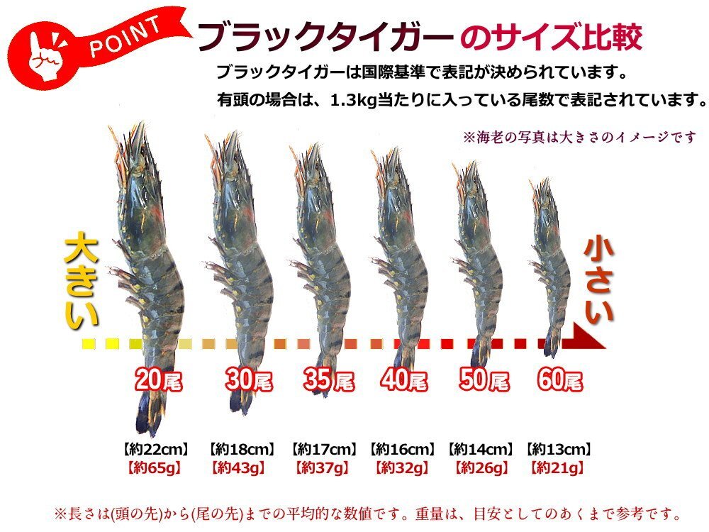 【Max】☆有頭ブラックタイガー35尾 業務用 1級品 お買い得価格　えび　冷凍海老_画像2