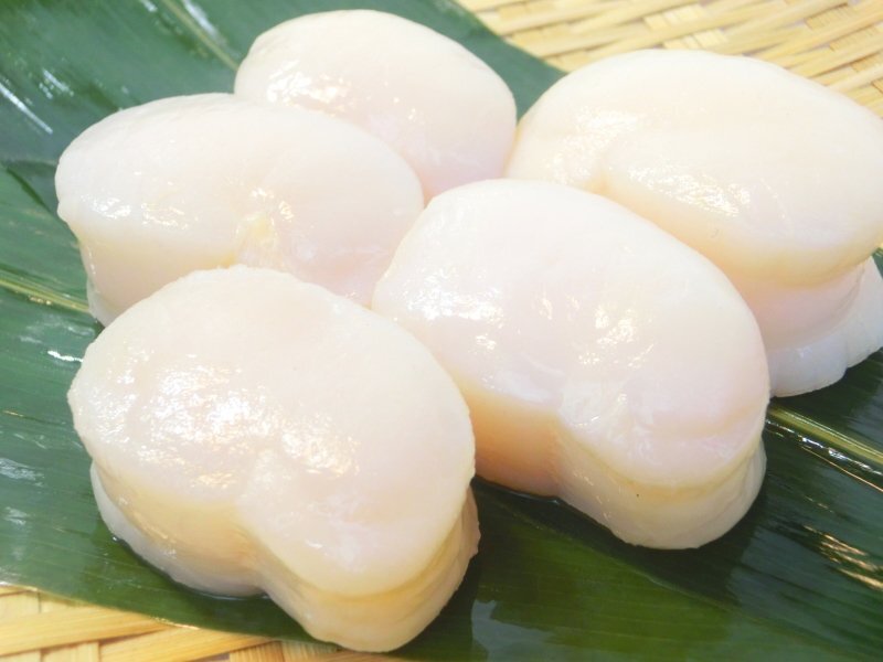 【Max】肉厚で弾力のある身♪タイラギ 平貝 16/20 500g 冷凍 お刺身用 寿司ネタ_画像1