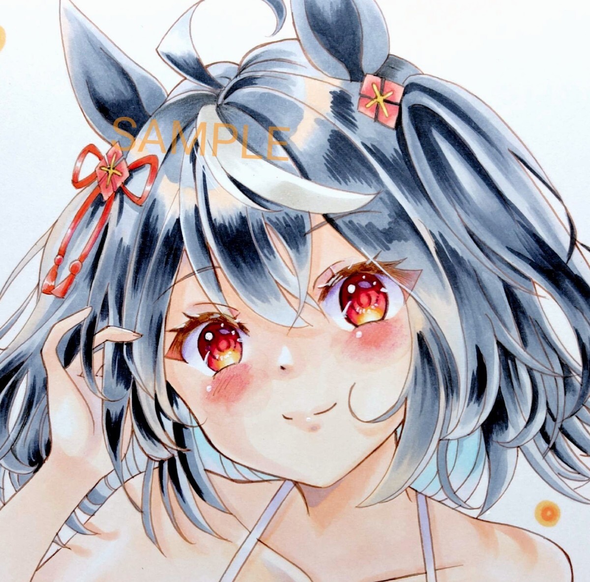  такой же человек ручные иллюстрации лошадь .kita солнечный черный купальный костюм B5