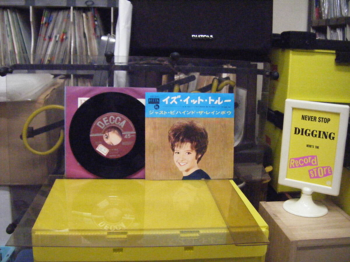 JS-164　ブレンダリー　IS IT TRUE　※シングル盤　_画像1