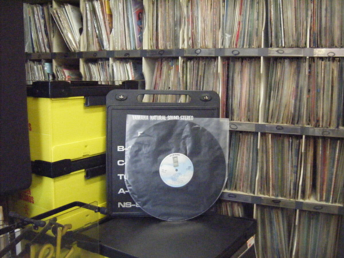 PL-30 ジャクソンブラウン 孤独なランナー (帯付) _画像4