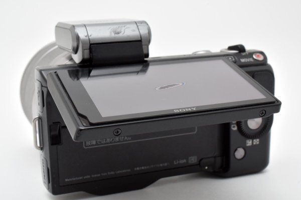 ADS7791* практическое использование прекрасный товар * Sony SONY NEX-5N + E 18-55mm F3.5-5.6 E OSS flash есть 