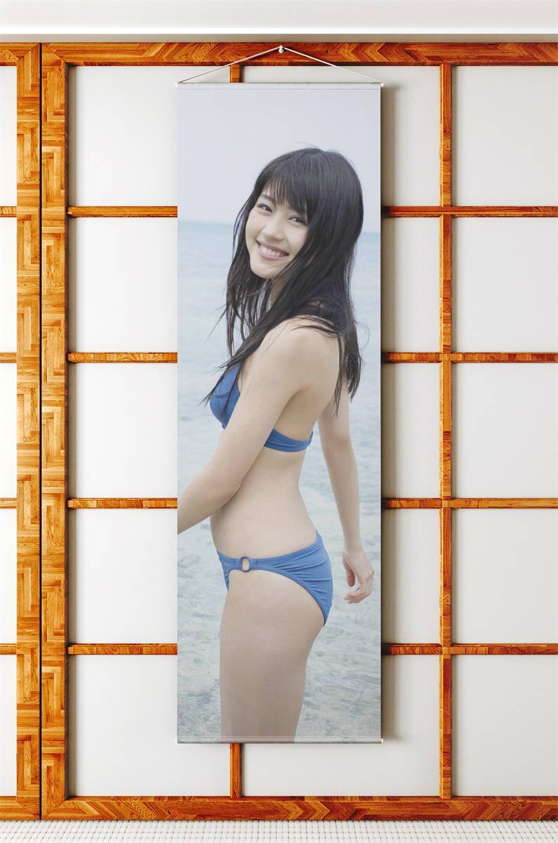  иметь .. оригинальный / в натуральную величину размер / двойной замша ткань / прекрасное качество / гобелен 